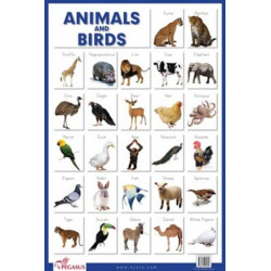 Animals & Birds