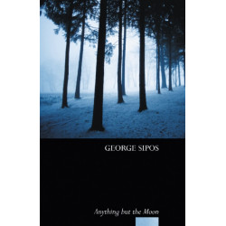 Anything but the Moon