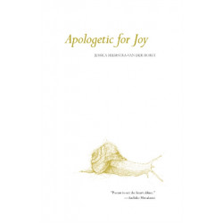 Apologetic for Joy
