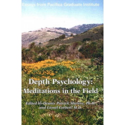 Depth Psychology, 2nd Edition: Meditations in the Field