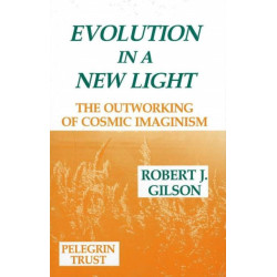 Evolution in a New Light: The Outworking of Cosmic Imaginism