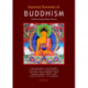 Aracaria Essential Elements of Buddhism Guide: Understanding & Remembering
