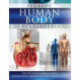Human Body
