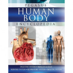 Human Body