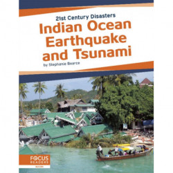Indian Ocean Earthquake and Tsunami