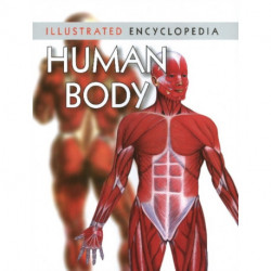 Human Body