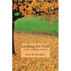 Looking for Gold: A Year in Jungian Analysis