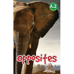 A Opposites