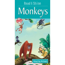 Monkeys