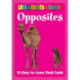 Opposites - Flash Cards