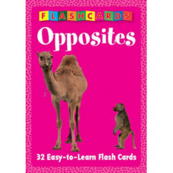 Opposites - Flash Cards
