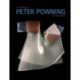 Peter Powning: A Retrospective / Une Retrospective