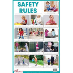 Safety Rules Educational Chart