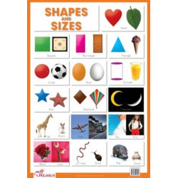Shapes & Sizes