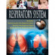 Respiratory System