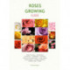 Rose Growing Guide