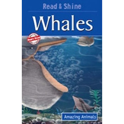 Whales