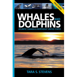 Whales & Dolphins of Atlantic Canada & Northeast United States: Field Guide