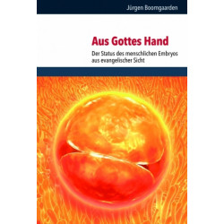 Aus Gottes Hand: Der Status des menschlichen Embryos aus evangelischer Sicht