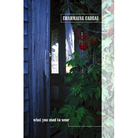 What You Used to Wear