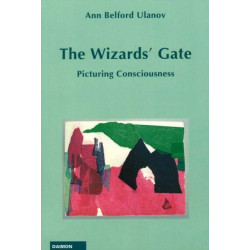 Wizard's Gate: Picturing Consciousness