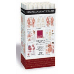 Human Anatomy Charts -- 48 Chart Merchandiser