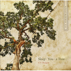 Apostrophes VII: Sleep, You, a Tree