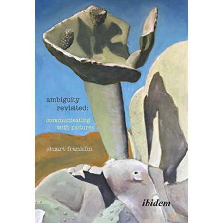 Ambiguity Revisited: Communicating with Pictures