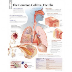 Common Cold vs the Flu Paper Poster