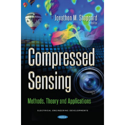 Compressed Sensing: Methods, Theory and Applications