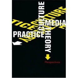 Culture, Media, Theory, Practice: Perspectives