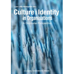 Culture & Identity in Organisations