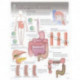 Digestive Process Laminated Poster