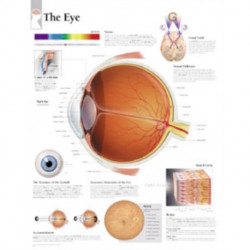 Eye Laminated Poster