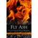 Fly Ash: Reuse, Environmental Problems & Related Issues