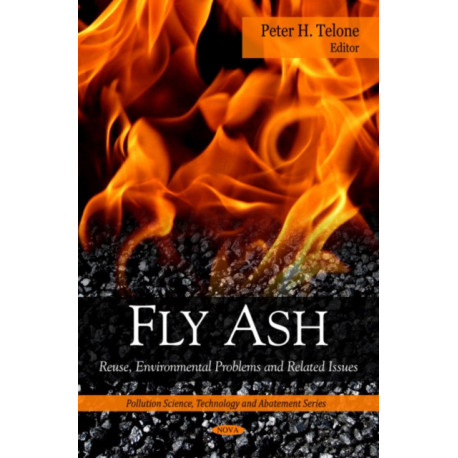 Fly Ash: Reuse, Environmental Problems & Related Issues