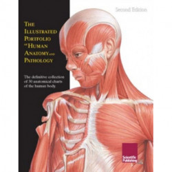 Illustrated Portfolio of Human Anatomy & Pathology, 2nd Edition: The Definitive Collection of 30 Anatomical Charts of the Human Body