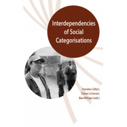 Interdependences of Social Categorisations