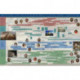 Natural Law & Enlightenment Classics Series Timeline Poster