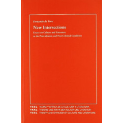 New Intersections: Essays on Culture and Literature in the Post-Modern and Post-Colonial Condition