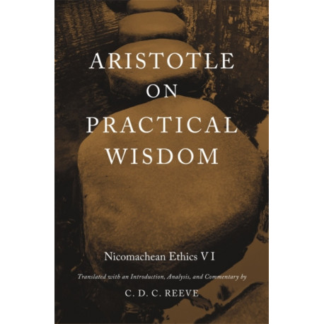 Aristotle on Practical Wisdom: Nicomachean Ethics VI