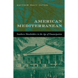 American Mediterranean: Southern Slaveholders in the Age of Emancipation