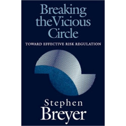 Breaking the Vicious Circle: Toward Effective Risk Regulation