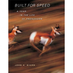 Built for Speed: A Year in the Life of Pronghorn