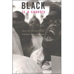 Black Is a Country: Race and the Unfinished Struggle for Democracy