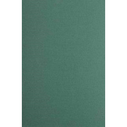 An Early Tibetan Survey of Buddhist Literature: The Bstan pa rgyas pa rgyan gyi nyi ‘od of Bcom Idan ral gri