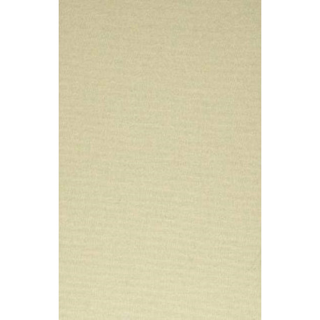 Essays in Philosophy