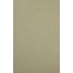 Essays in Radical Empiricism