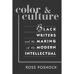 Color and Culture: Black Writers and the Making of the Modern Intellectual