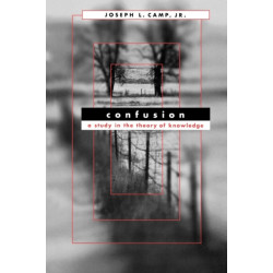 Confusion: A Study in the Theory of Knowledge